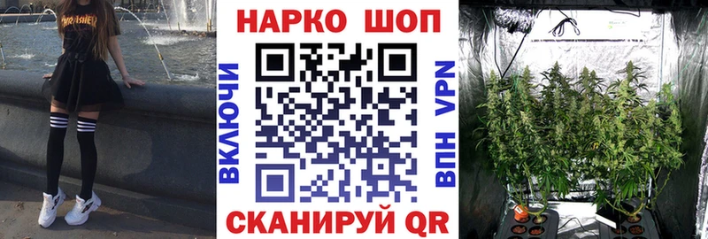 Где найти наркотики Городовиковск Псилоцибиновые грибы  МАРИХУАНА  Кокаин  Меф  Гашиш 