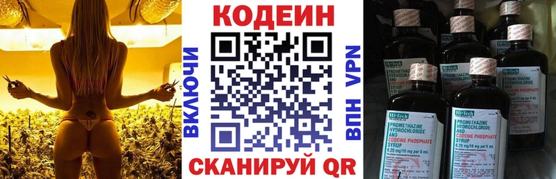 дарнет шоп  Городовиковск  Кодеин напиток Lean (лин) 