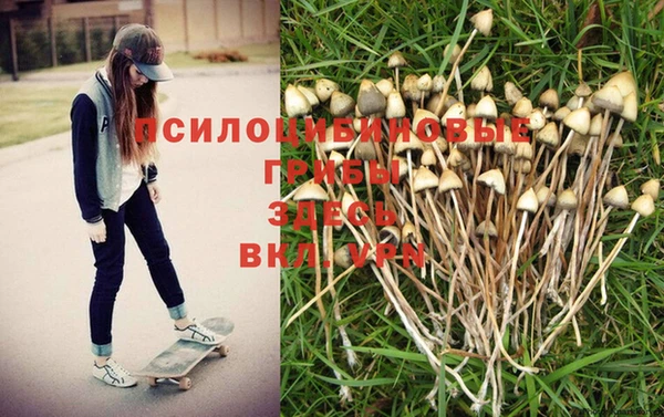 герыч Белокуриха