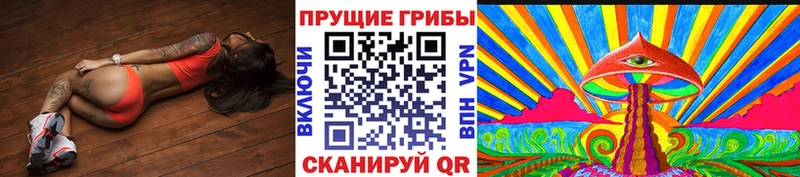 Галлюциногенные грибы Cubensis  сколько стоит  hydra вход  Городовиковск 